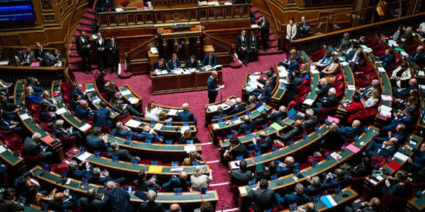 senat 022023